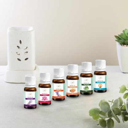 Premium Aroma Oil Set of 6 – Essential Oils for Diffuser