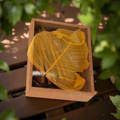 Handmade Incense Gift Set with Ceramic Holder – Sticks & Cones